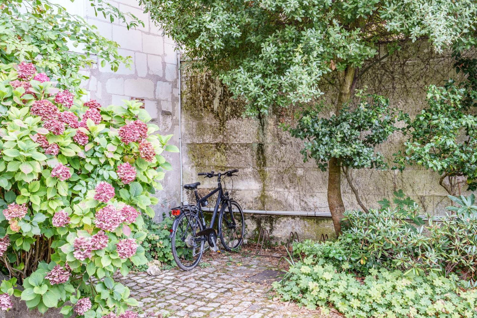 Appartement Raffine Vue Cathedrale, Jardin, Wifi Tours Buitenkant foto